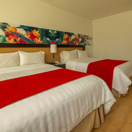 Mi Hotel Sandiego Medellín Extérieur photo